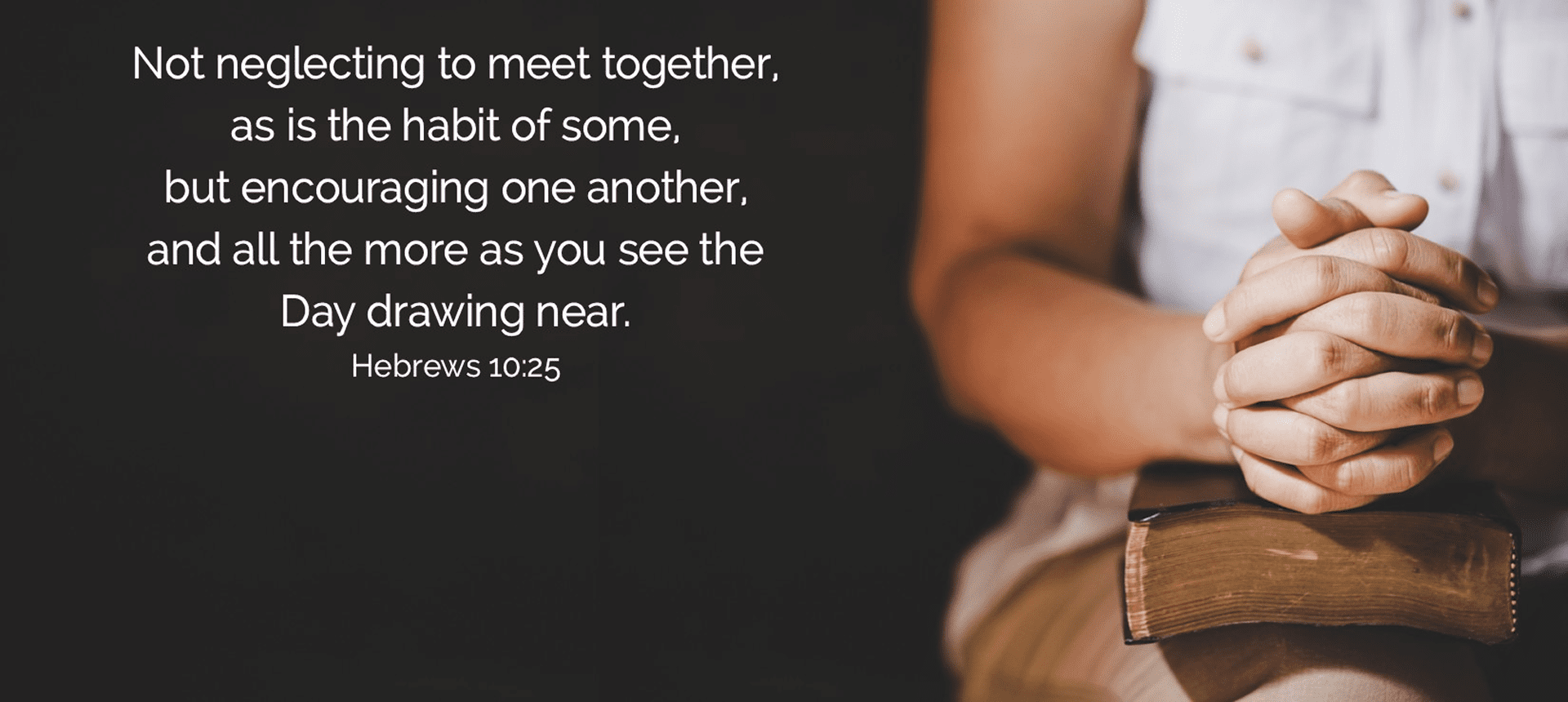 Person holding a Bible